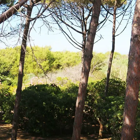 Sardinia Re - Villino Tulipano Villa *