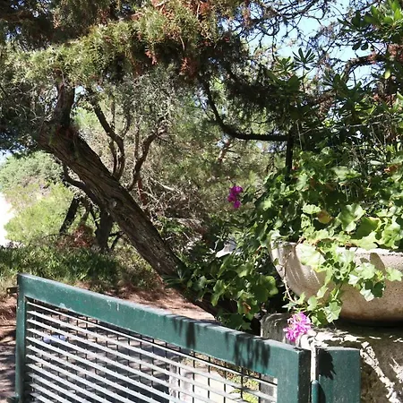 Villa Sardinia Re - Villino Tulipano *