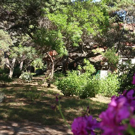 Villa Sardinia Re - Villino Tulipano
