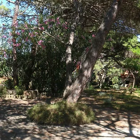 Sardinia Re - Villino Tulipano